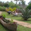 Amani House