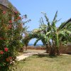 Amani House